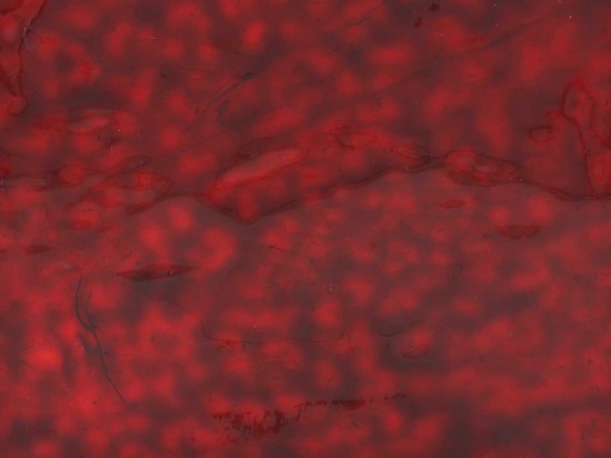 Glasplaat spiegel   wd068 donker rood wavy