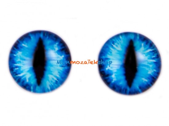 Katten oogjes 12 mm   blauw1