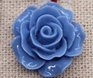 Roos spijkerbroek blauw 2