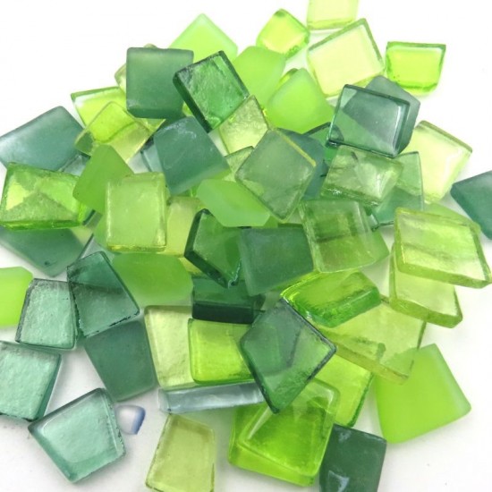 Transparant puzzel   mix prickly pear